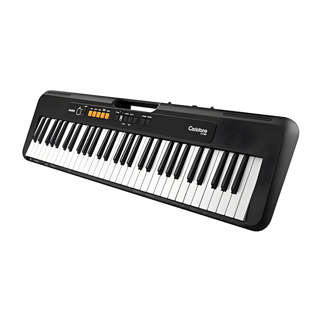CASIO CTK 100