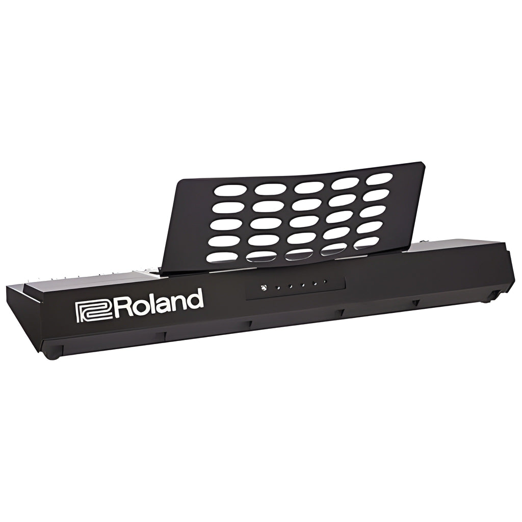 ROLAND EX20