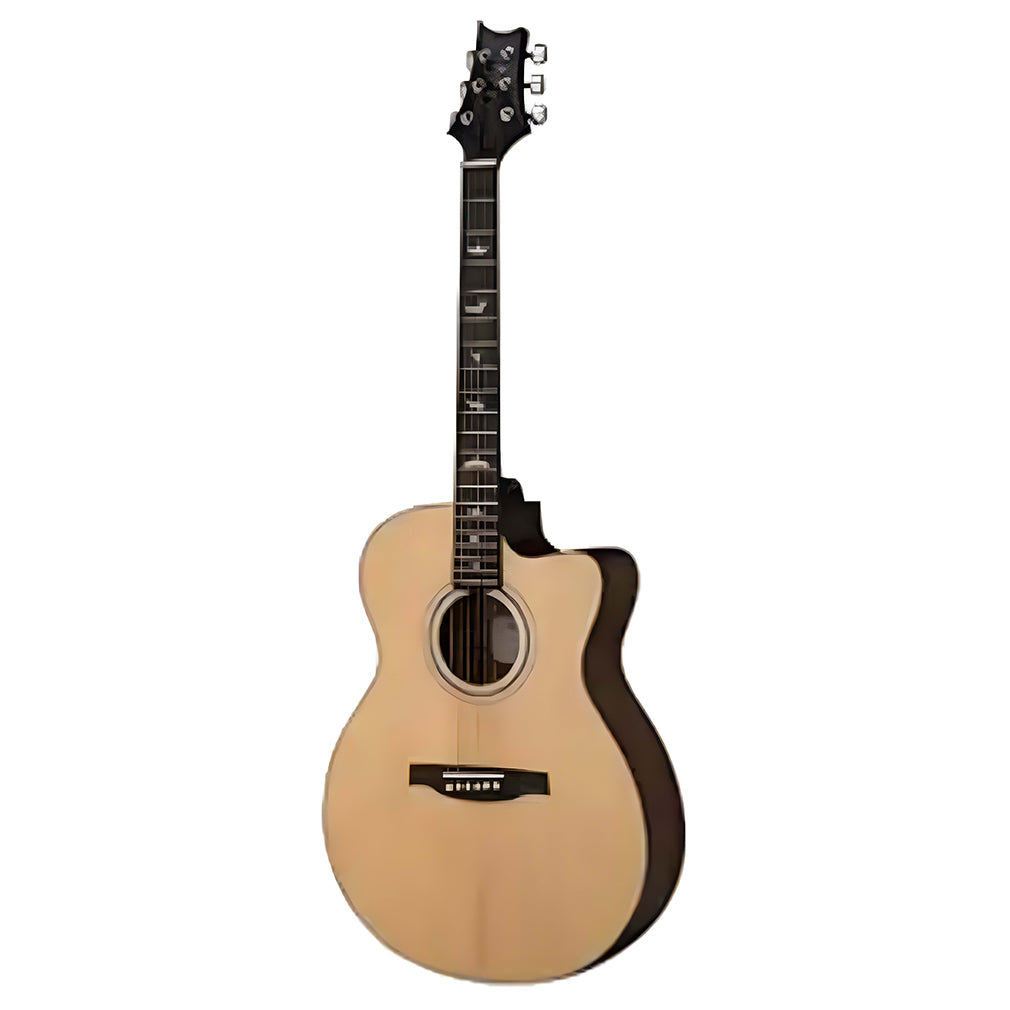 PRS SEMI ACOUSTIC GUITAR AXM20EGB NA