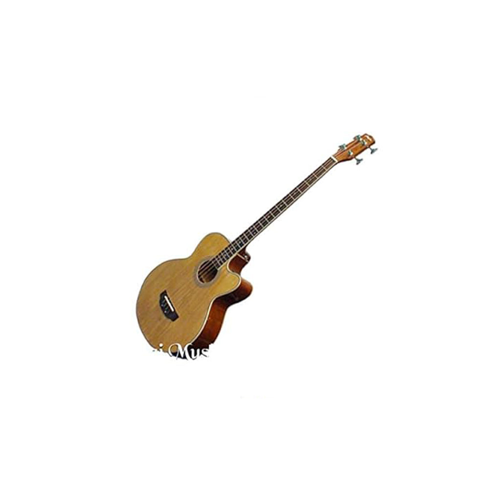 HERTZ HZA4503 NA ACOUSTIC  GUITAR