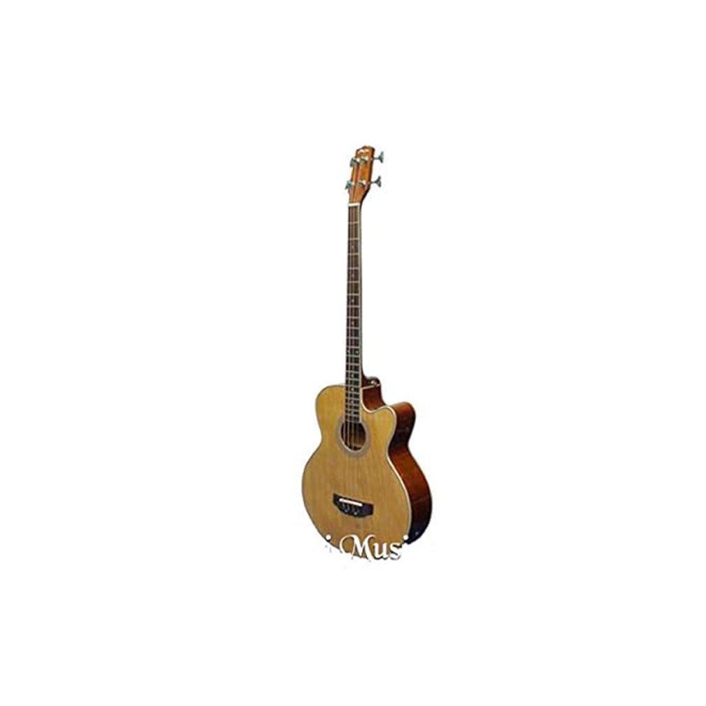 HERTZ HZA4503 NA ACOUSTIC  GUITAR