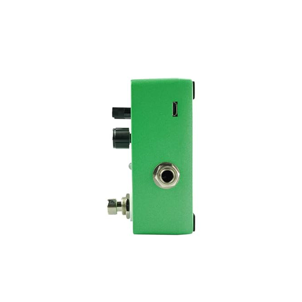 HAYDEN MINI PEDAL C-DELAY
