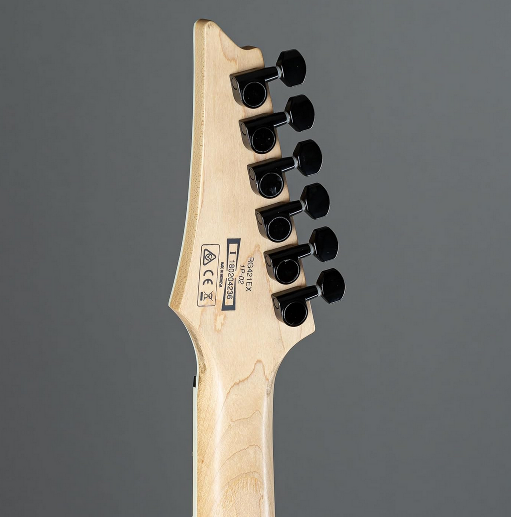 Ibanez Rg421Ex-Bkf Electric Guitar, Brown - Mahogany