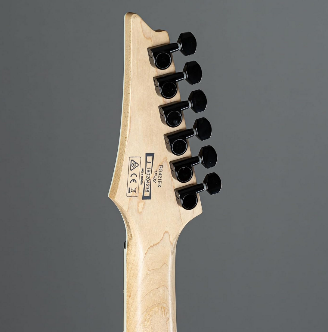 Ibanez Rg421Ex-Bkf Electric Guitar, Brown - Mahogany