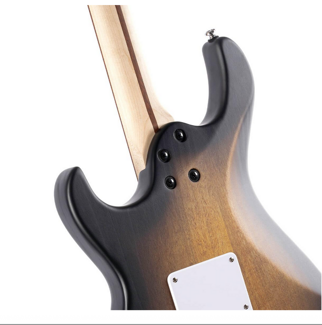 Cort G110 Electric Guitar