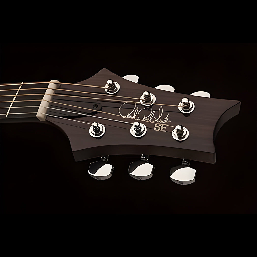 PRS SEMI ACOUSTIC GUITAR AXM20EGB NA