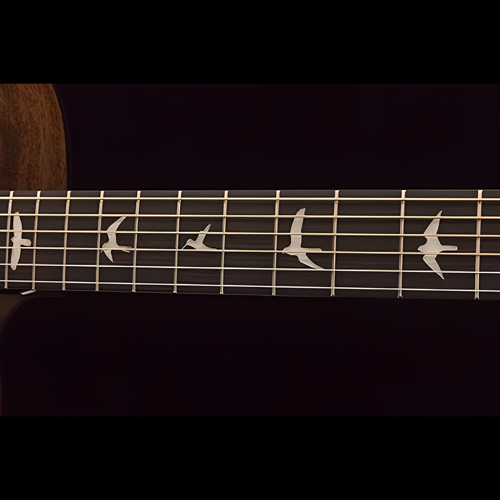 PRS SEMI ACOUSTIC GUITAR AXM20EGB NA