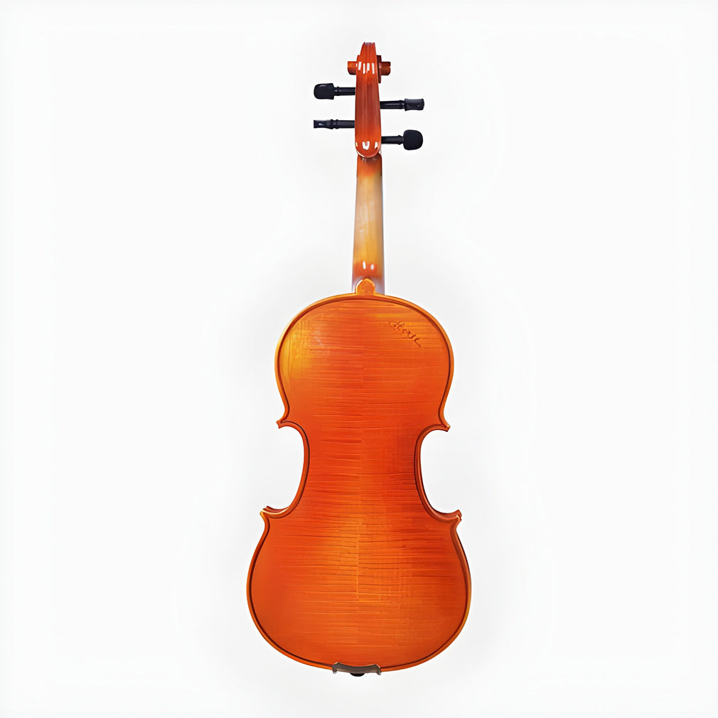 HERTZ VIOLIN VP01(3/4)