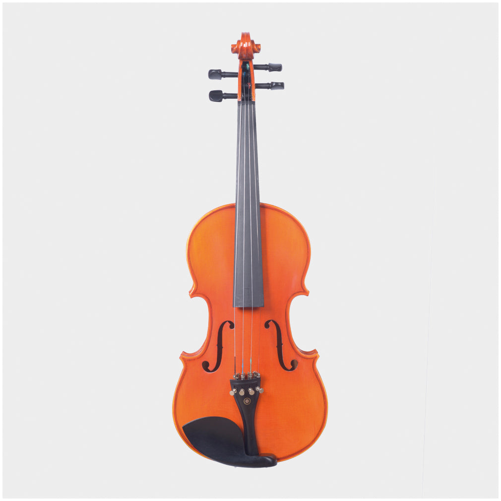HERTZ VIOLIN VP01(3/4)